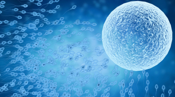 Jak zlepšit spermiogram? Pomoci může úprava stravy