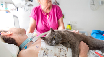 Canisterapie a felinoterapie se ve Fakultní nemocnici Olomouc osvědčuje také na Oddělení NIP / DIOP