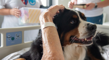 Dobrovolníci udělali seniorům radost návštěvou hafanů