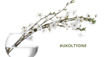 #UkolTydne | od 4.12.2023