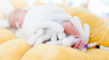 Světový den předčasně narozených dětí: Purpurový Theresian Restaurant a bohatý program v Galerii Šantovka