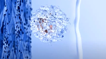 Nově nabízíme speciální médium EmbryoGlue