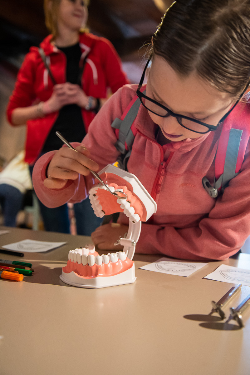 Při příležitosti Světového dne ústního zdraví, který připadá na 20. března, připravili v Pevnosti poznání olomoučtí studenti stomatologie, spojených s pravidly zubní hygieny a prevencí zubního kazu.