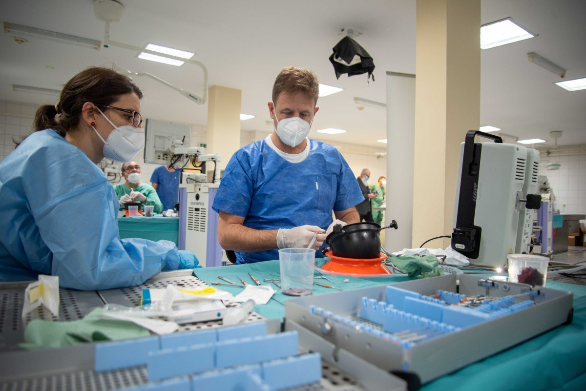 Z loňského ročníku The Central European Endoscopic Ear Surgery Course.
