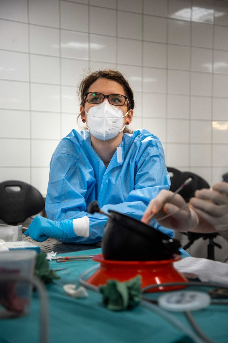 Z loňského ročníku The Central European Endoscopic Ear Surgery Course.