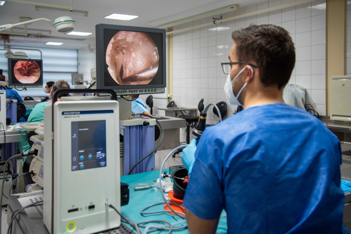 Z loňského ročníku The Central European Endoscopic Ear Surgery Course.