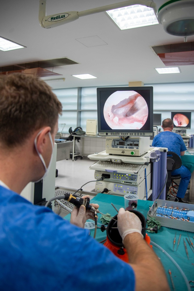 Z loňského ročníku The Central European Endoscopic Ear Surgery Course.